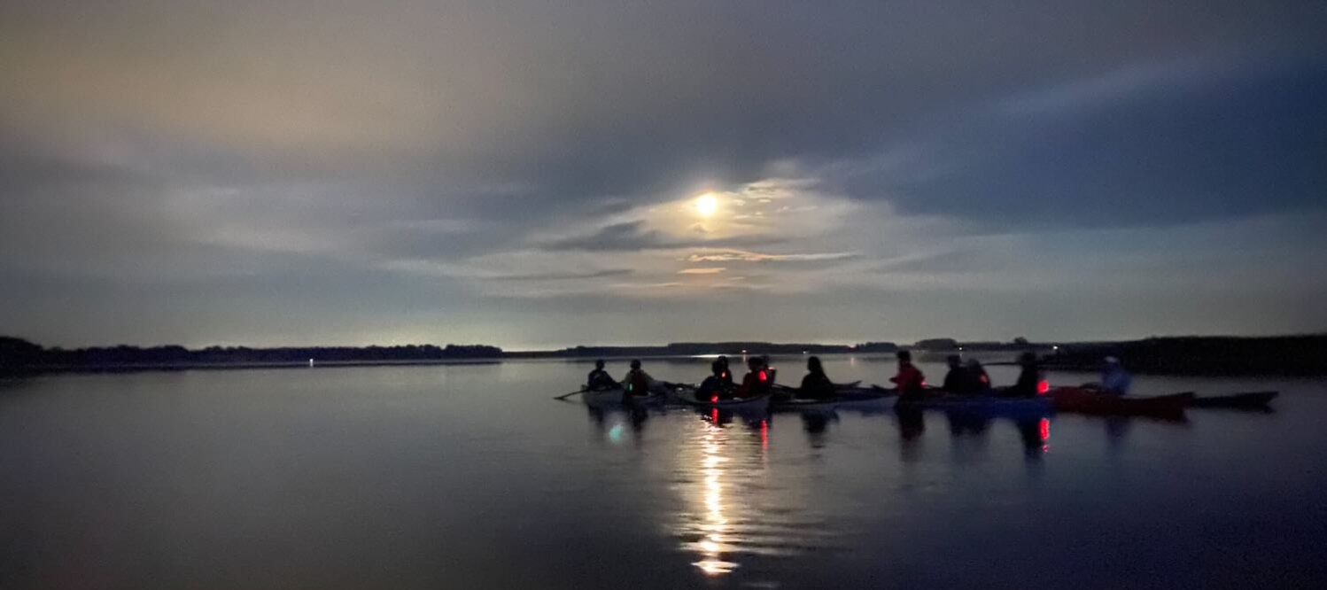 Danmark Padler aftentur i kajakker