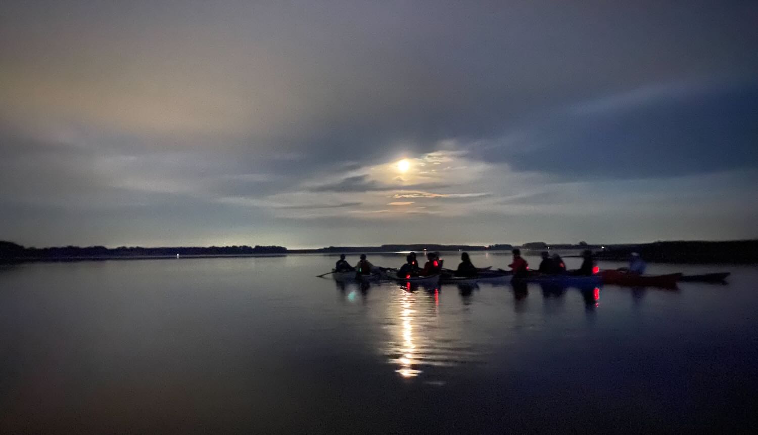 Danmark Padler aftentur i kajakker