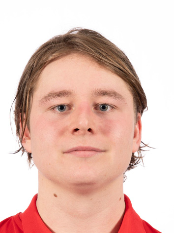 Viggo Rentse Willumsen