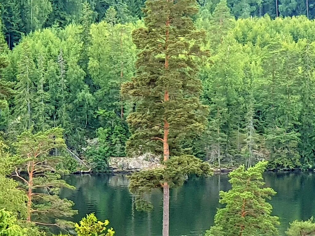 Den svenske sø Vestre Silen