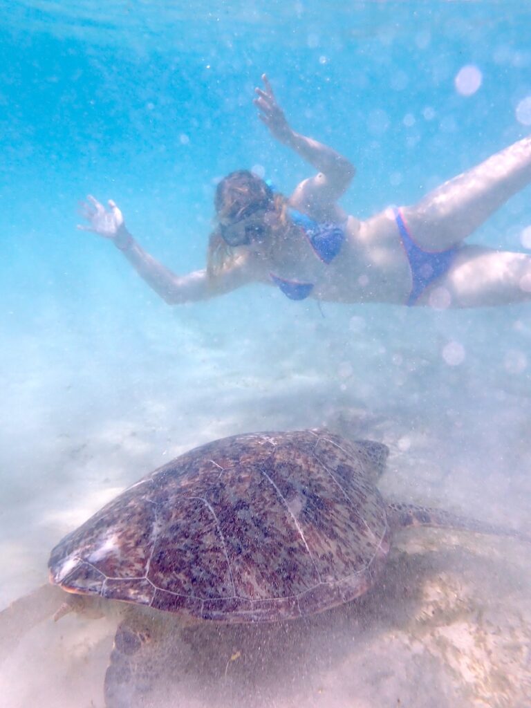 Kvinde der svømmer med en skildpadde