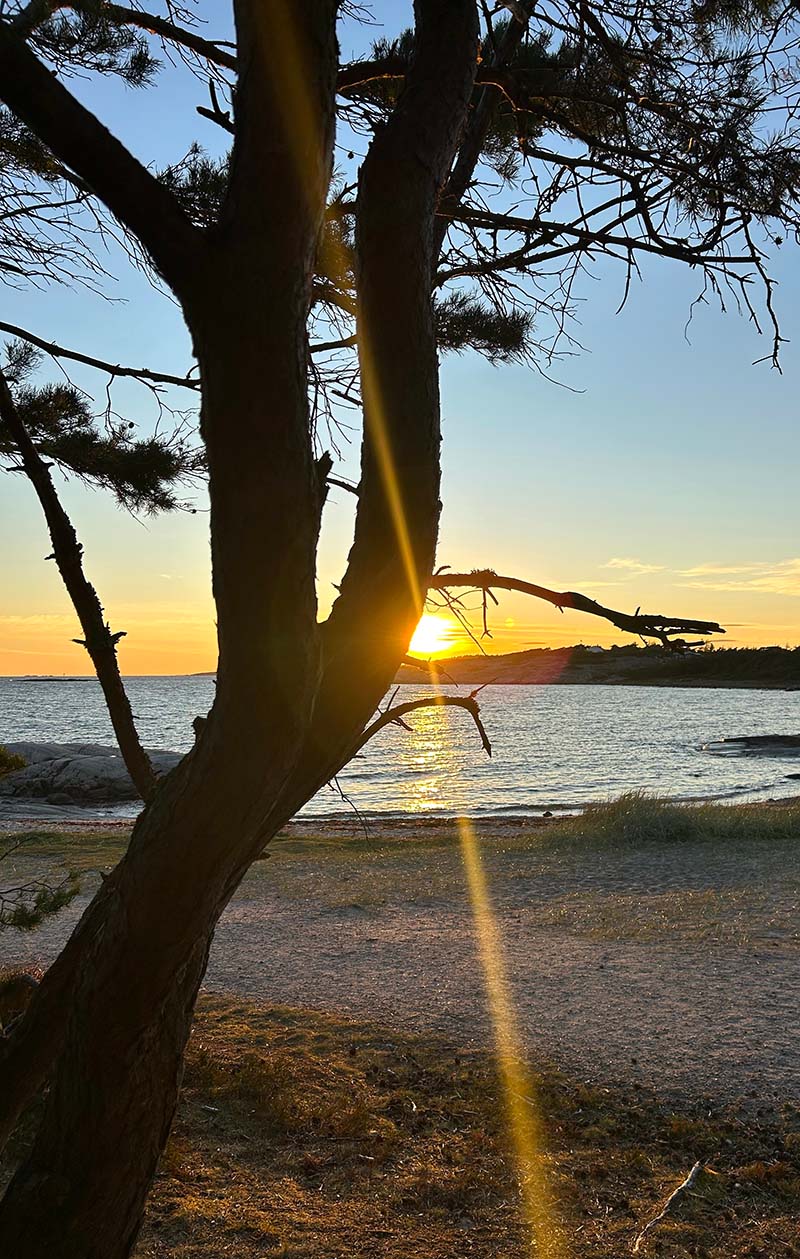 Solopgang over stranden