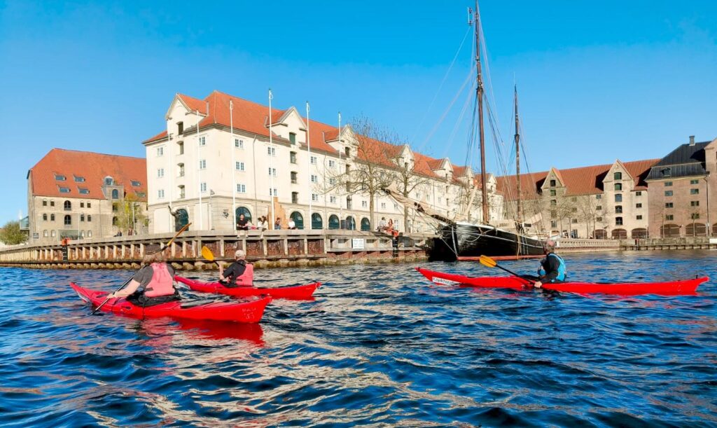 Kajakker på tur i Københavns Havn