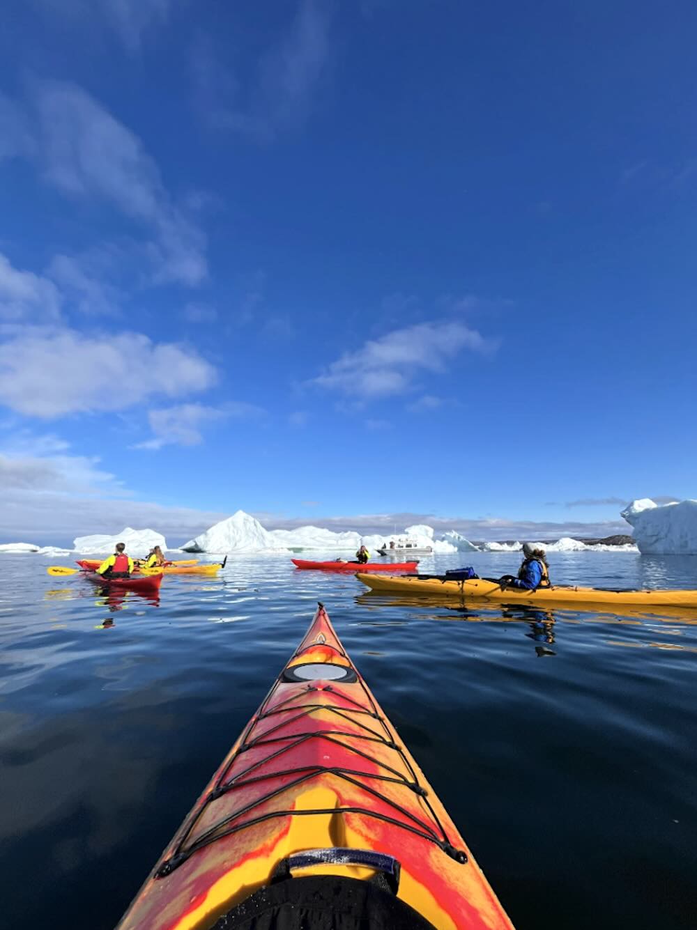 Kajakker mellem isbjerge ved ilulissat