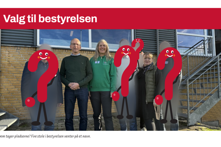 Valg til bestyrelsen-selection